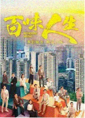 雾港来信电视剧全集在线看